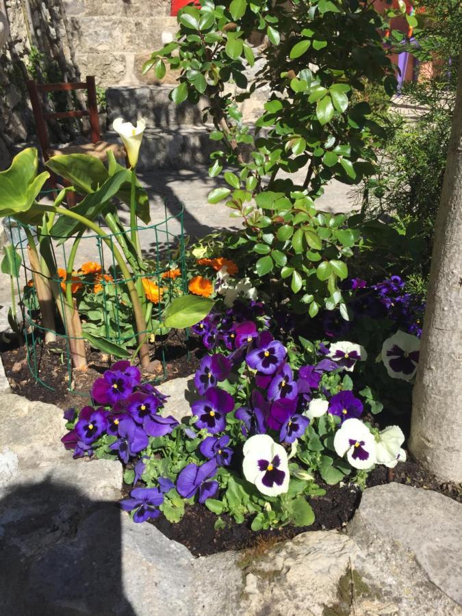 La Cle Des Songes Bed and Breakfast Claviers Exteriör bild